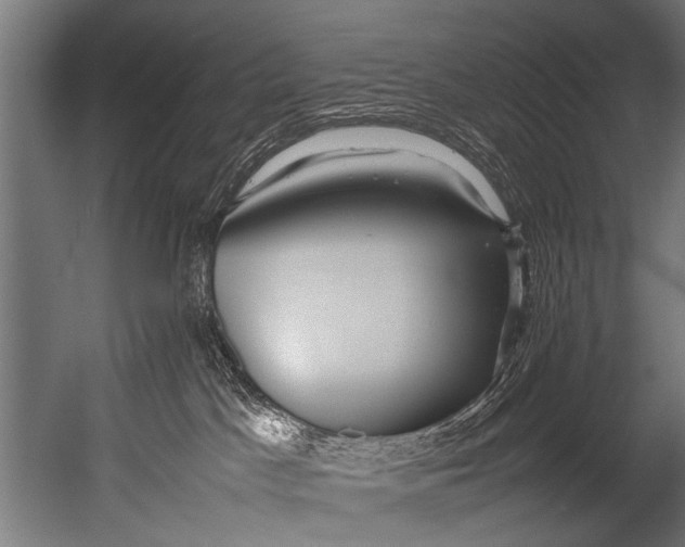 X0000052970045200507300149