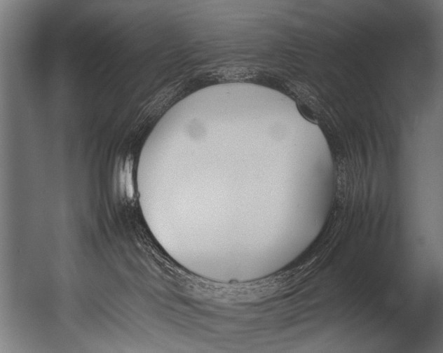 X0000052970046200507300149