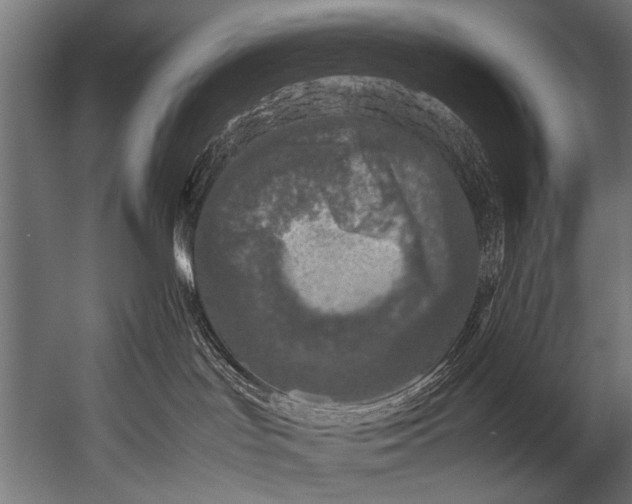 X0000052970047200507300149