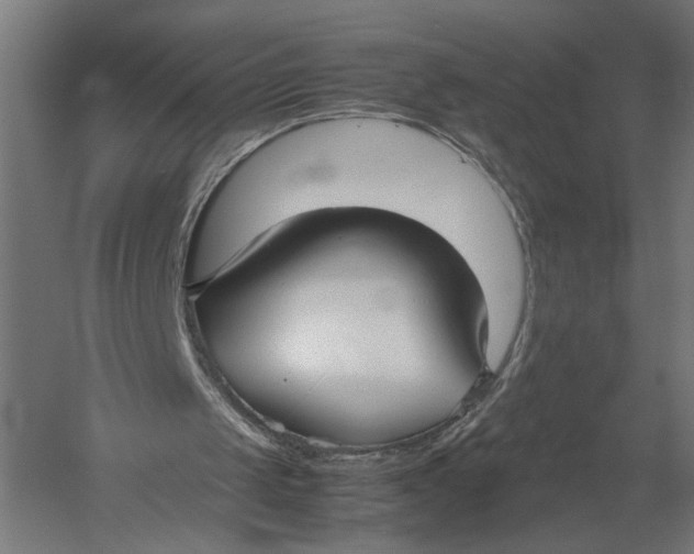 X0000052970049200507300148