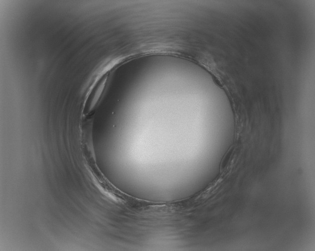 X0000052970050200507300148