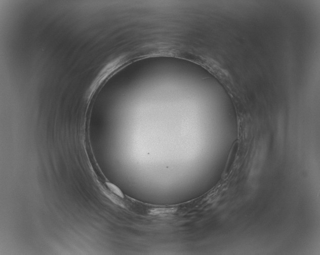 X0000052970051200507300148