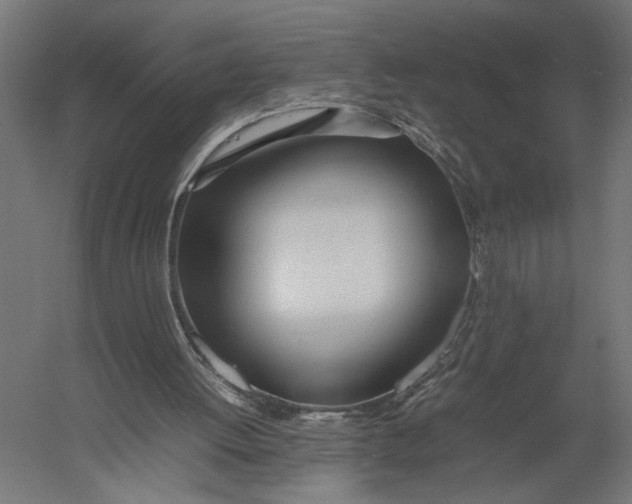 X0000052970052200507300148