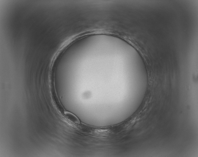 X0000052970055200507300148