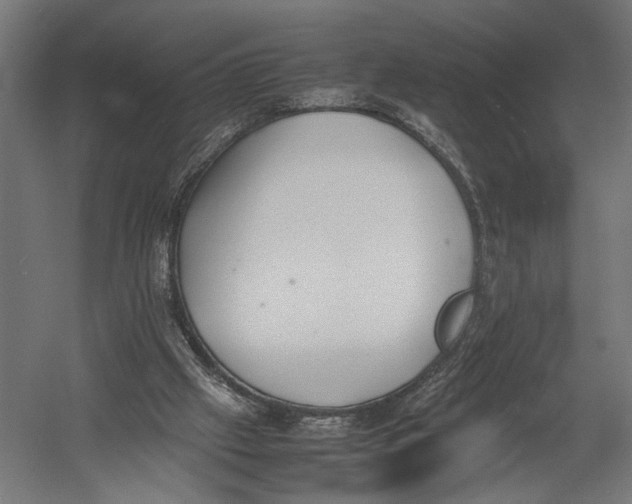 X0000052970057200507300148