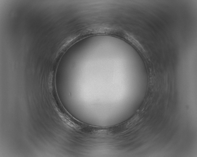 X0000052970058200507300148