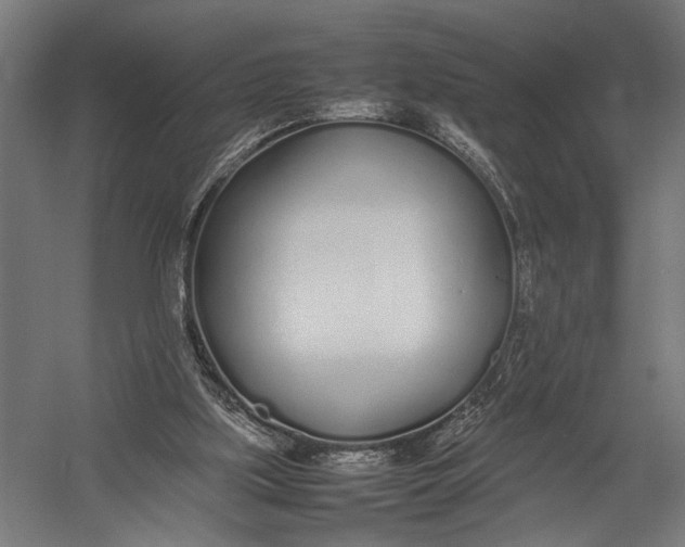 X0000052970059200507300148