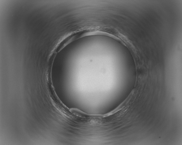 X0000052970060200507300148