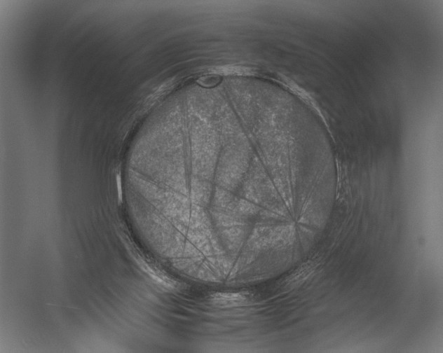 X0000052970061200507300148