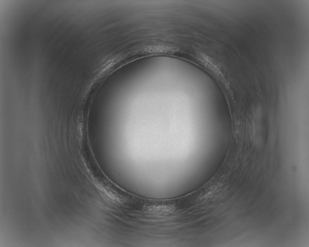 X0000052970063200507300148