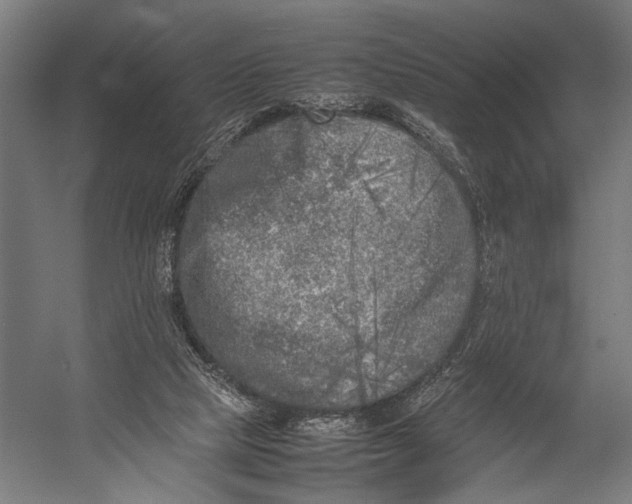 X0000052970065200507300148