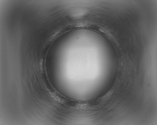 X0000052970066200507300148