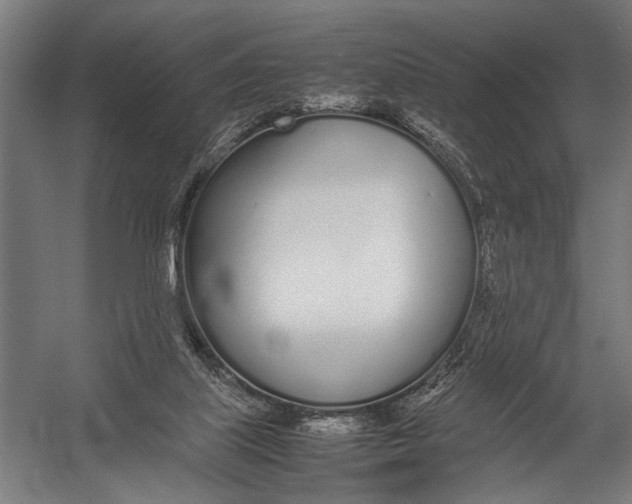 X0000052970067200507300148