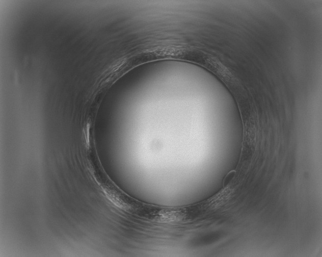 X0000052970070200507300148