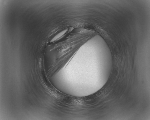 X0000052970071200507300148