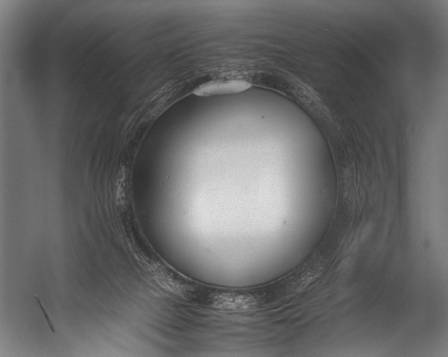 X0000052970073200507300148