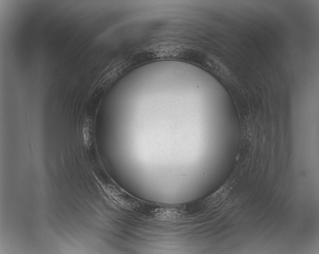 X0000052970074200507300148