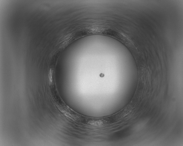 X0000052970075200507300148