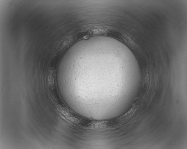 X0000052970078200507300148