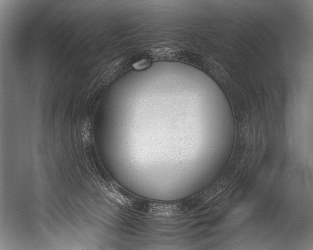 X0000052970081200507300148