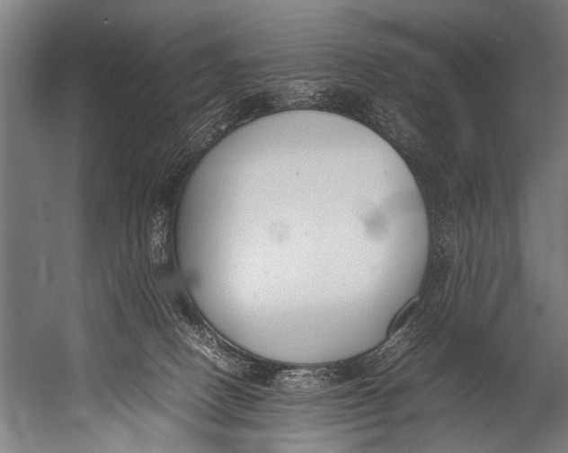 X0000052970082200507300148