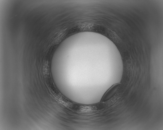 X0000052970083200507300148