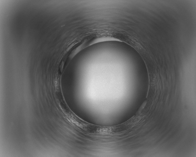 X0000052970084200507300148