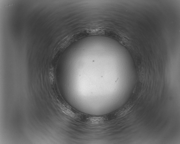 X0000052970085200507300148