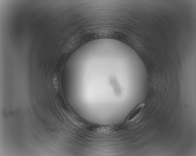 X0000052970086200507300148