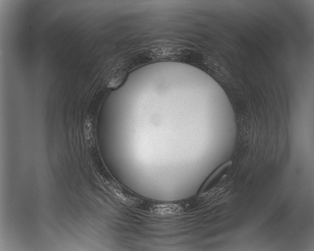 X0000052970087200507300148