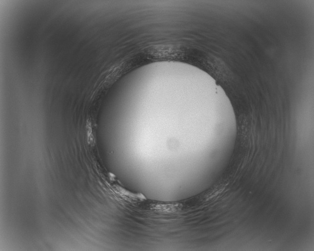 X0000052970089200507300149