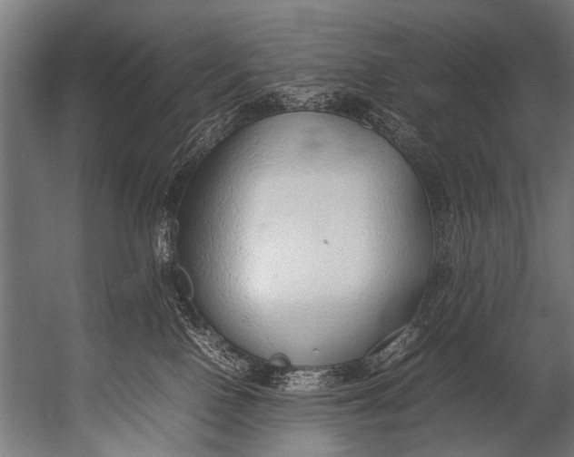 X0000052970090200507300149