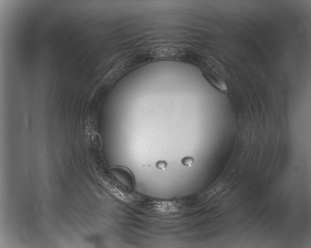 X0000052970091200507300149