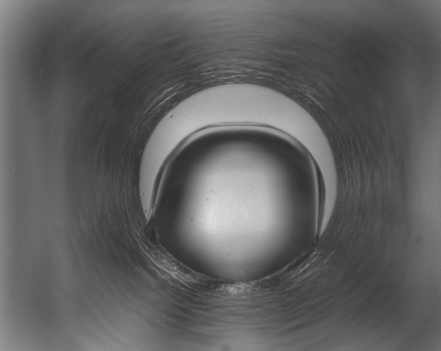 X0000052970092200507300149