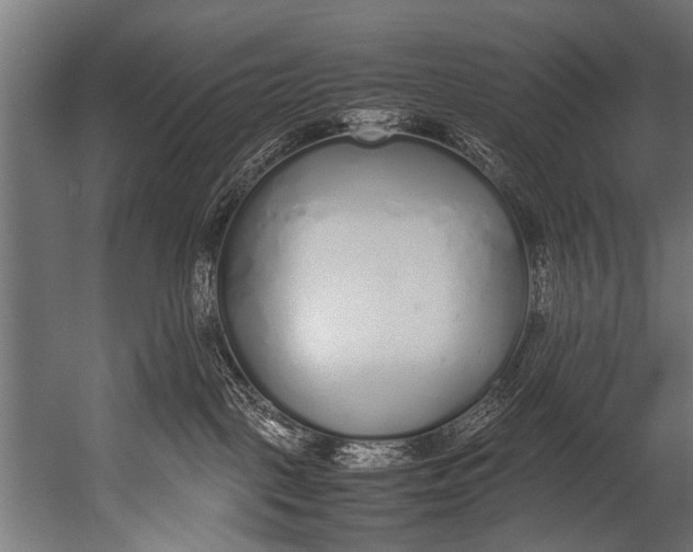 X0000052970093200507300149