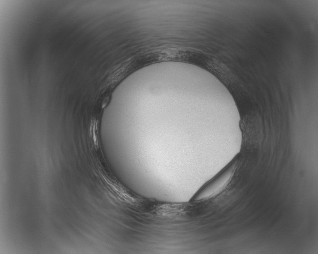 X0000052970094200507300149