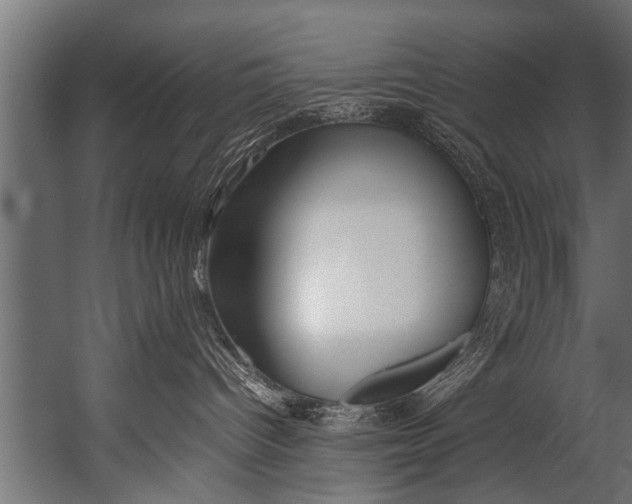 X0000052970096200507300149