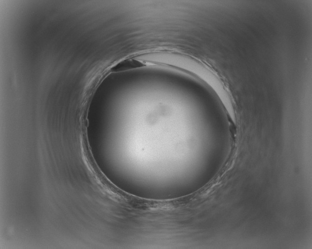 X0000052970097200507300148