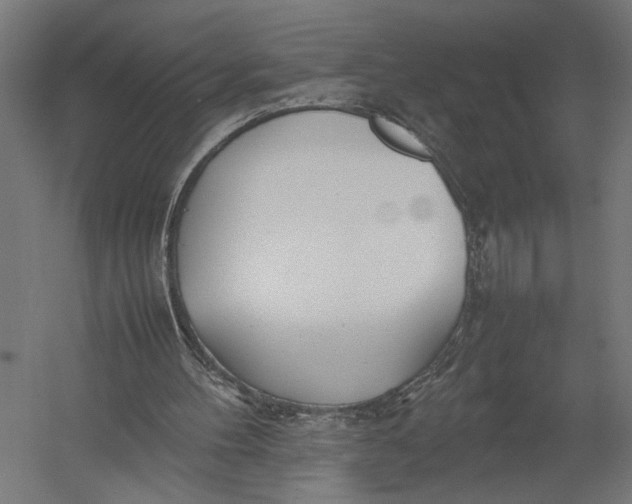 X0000052970100200507300148