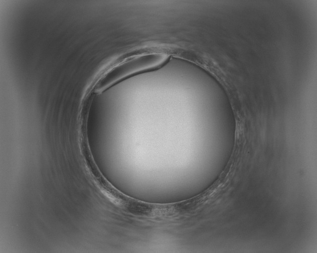 X0000052970101200507300148