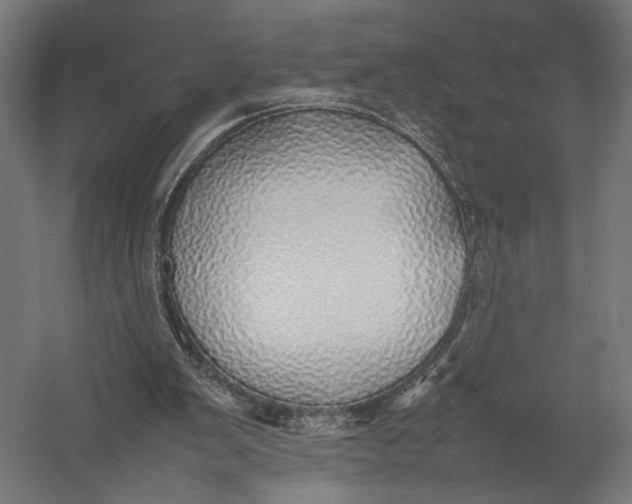 X0000052970103200507300148