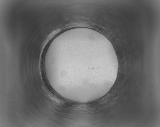 X0000052970104200507300148