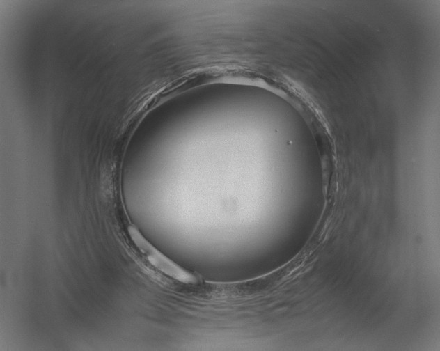 X0000052970105200507300148