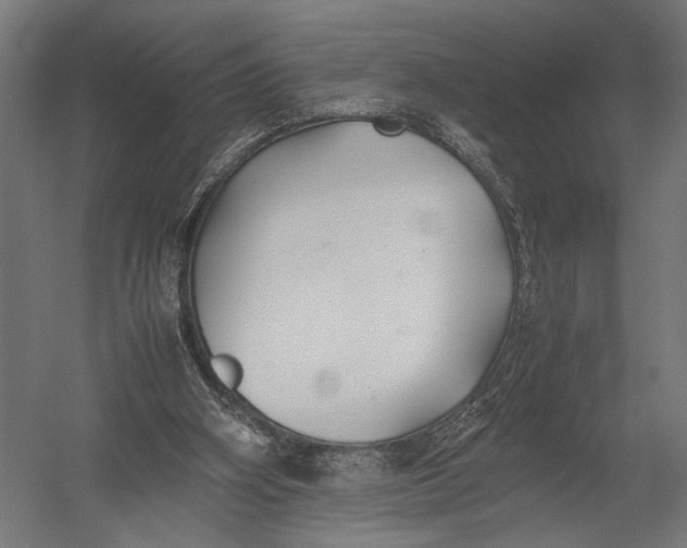 X0000052970106200507300148