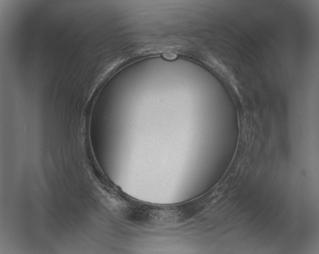 X0000052970107200507300148