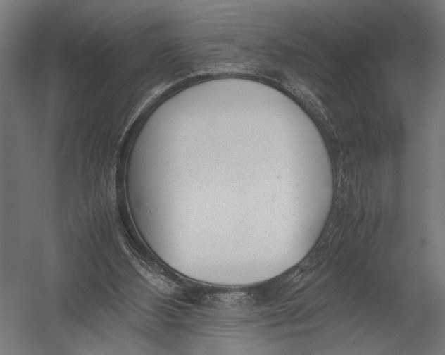 X0000052970108200507300148