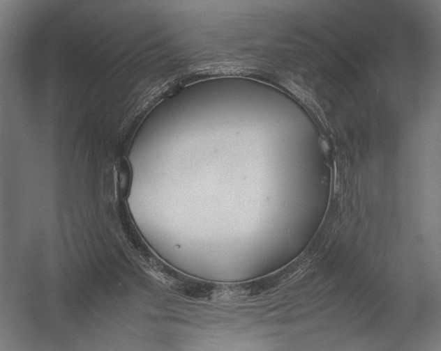 X0000052970109200507300148