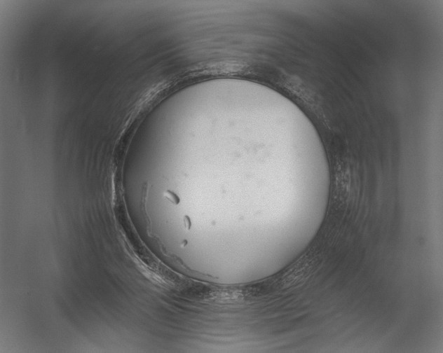 X0000052970110200507300148