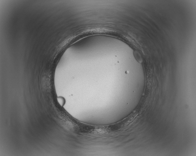 X0000052970111200507300148