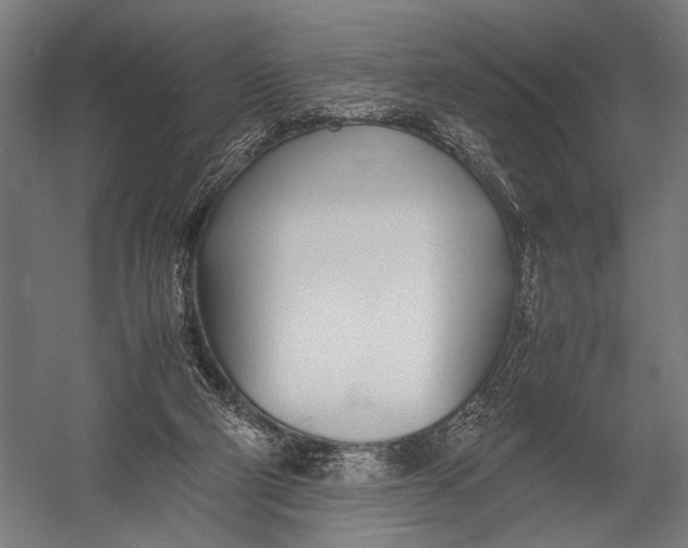 X0000052970114200507300148